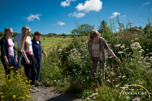 Doolin Cave guided nature trail walk 4