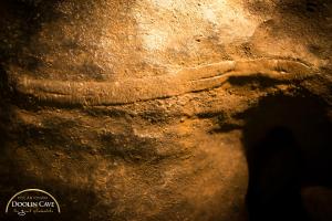 Stalactites & Features at Doolin Cave