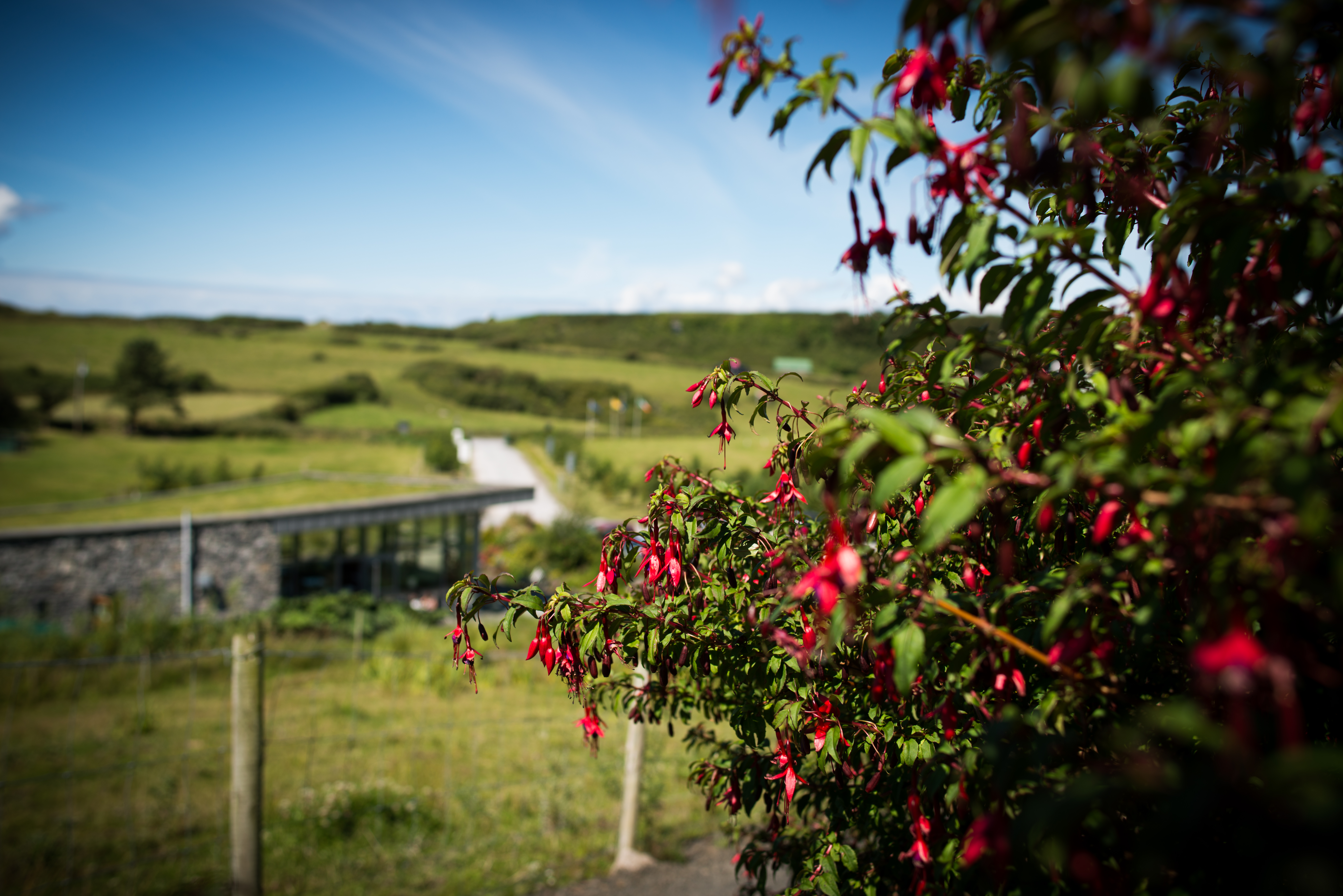 Copy of Doolin Cave Aug 2015 1 10