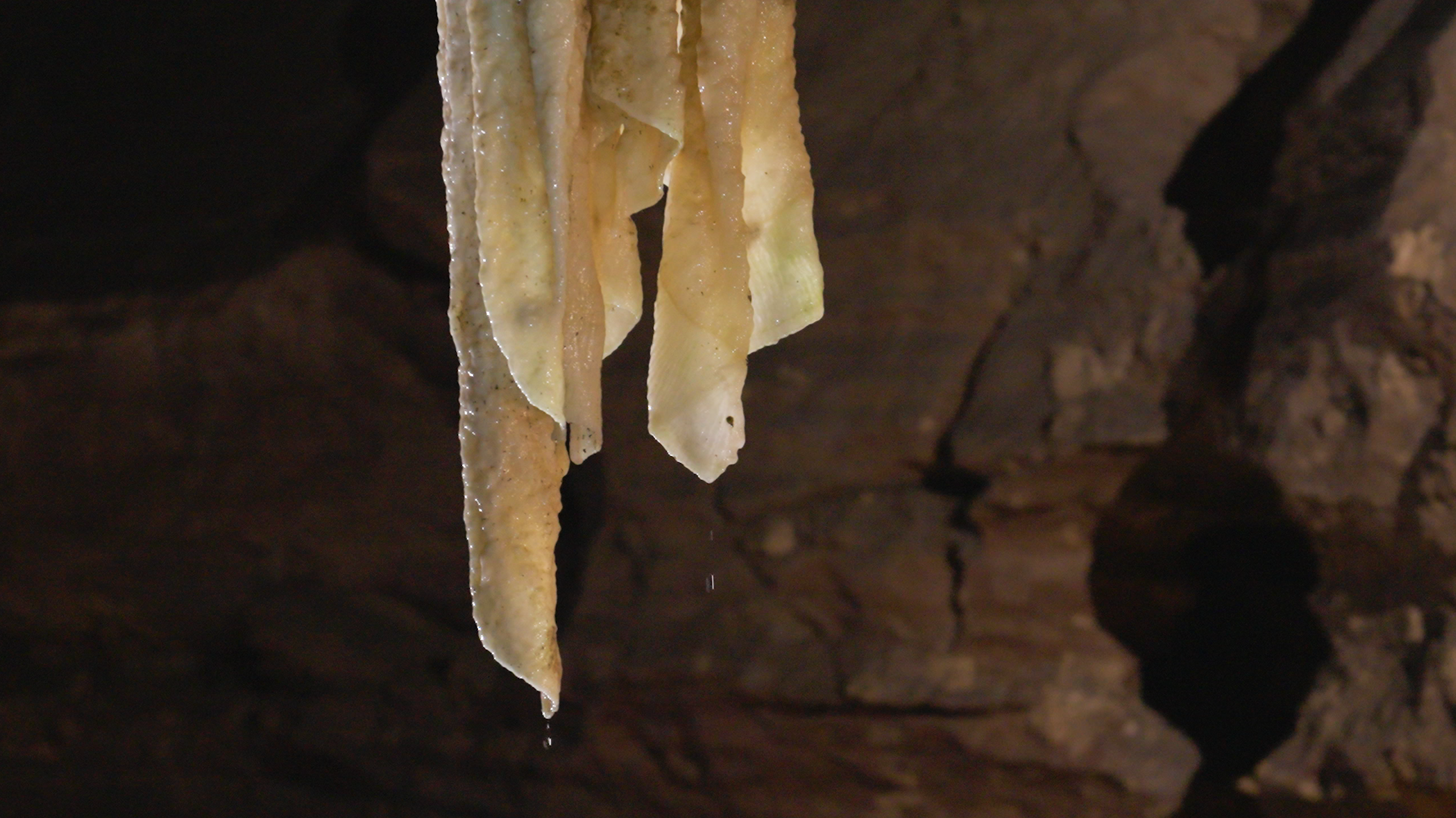 Doolin Cave 2023 SD (11)