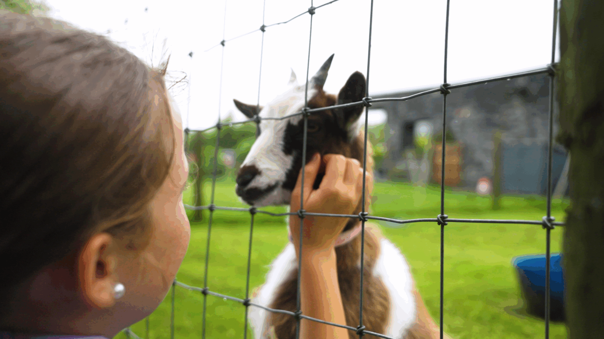 Doolin Cave 2023 SD (7)